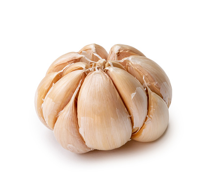 Single fresh white garlic bulb is isolated on white background with clipping path, Thai herb is great for healing several severe diseases, heart attact, Hyperlipidemia or Dyslipidemia, close up photo