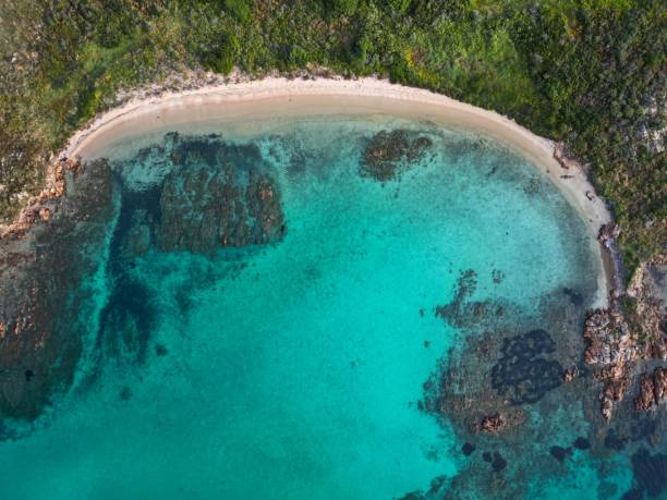 istock Aerial view of a pristine beach surrounded by lush green trees in a tranquil setting 1530898629