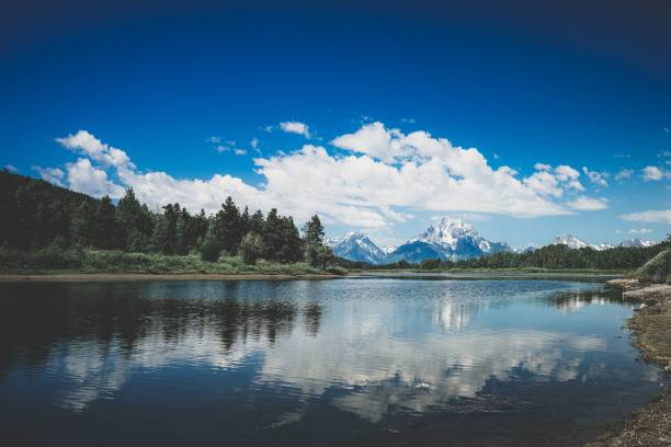 istock a lake and some tall grass and trees in the background 1530899248