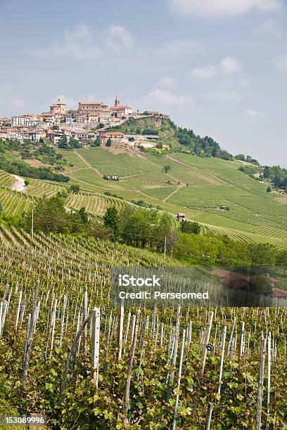 Der Toskana Vineyard Stockfoto und mehr Bilder von Agrarbetrieb - Agrarbetrieb, Anhöhe, Baum