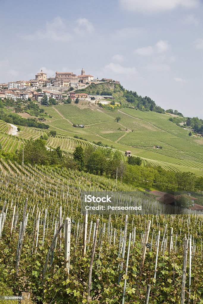 Toscana vinha - Royalty-free Agricultura Foto de stock