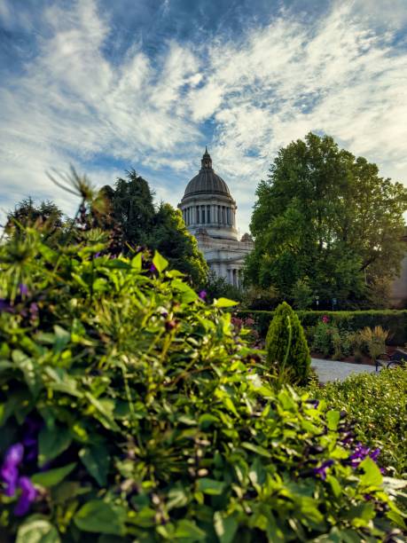 istock Washington State Capitol with lush green foliage surrounding it 1530908553