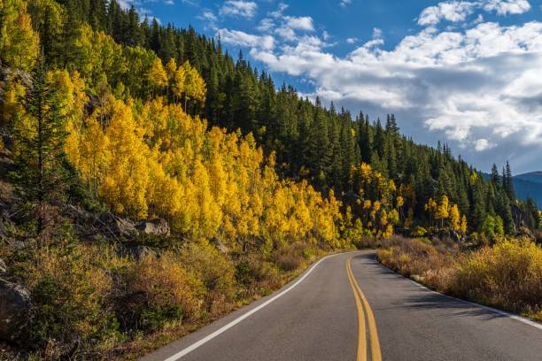 istock Scenic winding mountain road surrounded by vibrant yellowing trees 1530909719