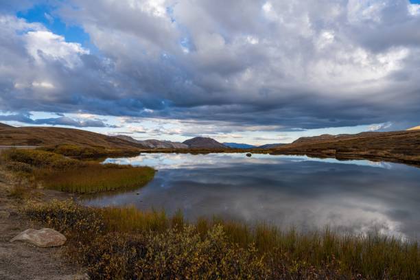 Gulf of Tanana river at summer, Alaska, USA.
