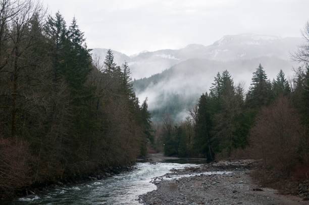 River snaking through a picturesque winter scene, with snow-dusted trees and snow-covered riverbanks