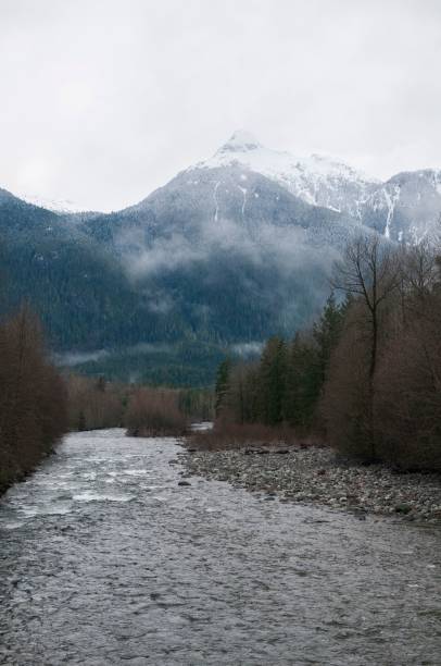 istock River snaking through a picturesque winter scene, with snow-dusted trees and snow-covered riverbanks 1530919433