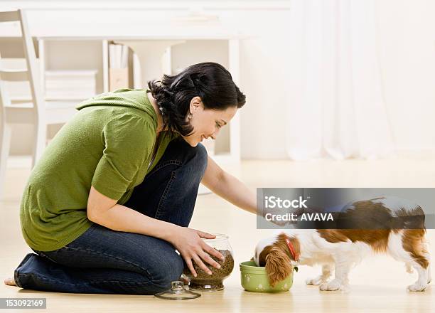 Woman Feeding Puppy Stock Photo - Download Image Now - Feeding, Dog, Women