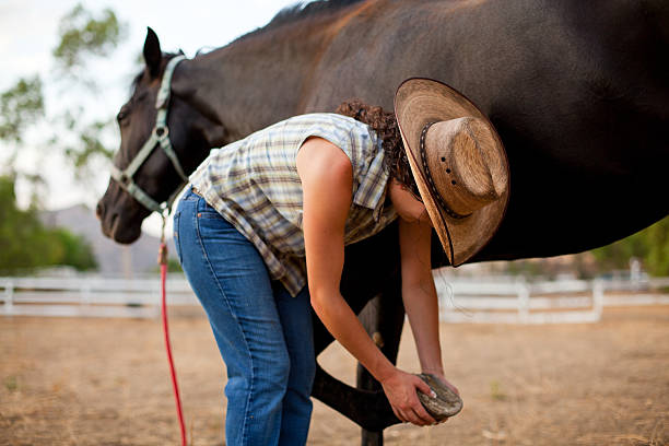 istock Woman With Her Horse on a Ranch 153092300