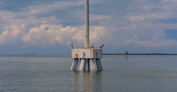 istock Single sailboat in the ocean at dusk 1530925188