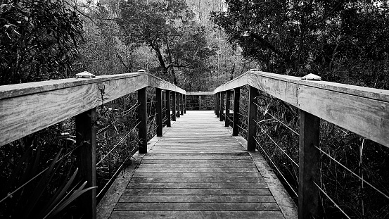 A grayscale shot of a wooden bridge in a Park off of dorchester road in Summerville, South Carolina