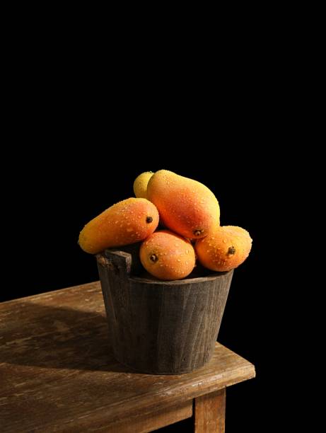 Rustic  bucket filled with freshly harvested mangos placed on top of a wooden table