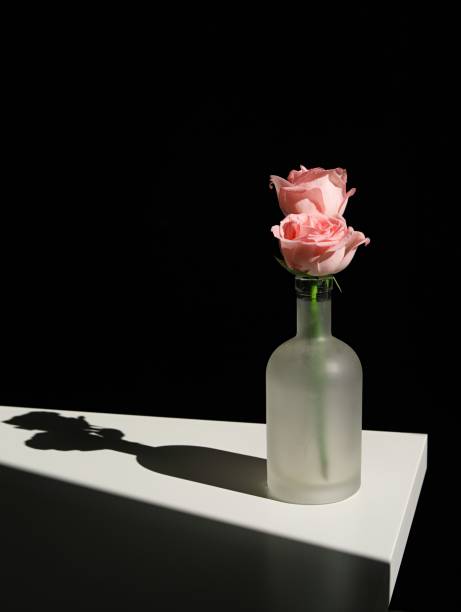 istock Matte glass vase with delicate pink roses on dark background 1530926899