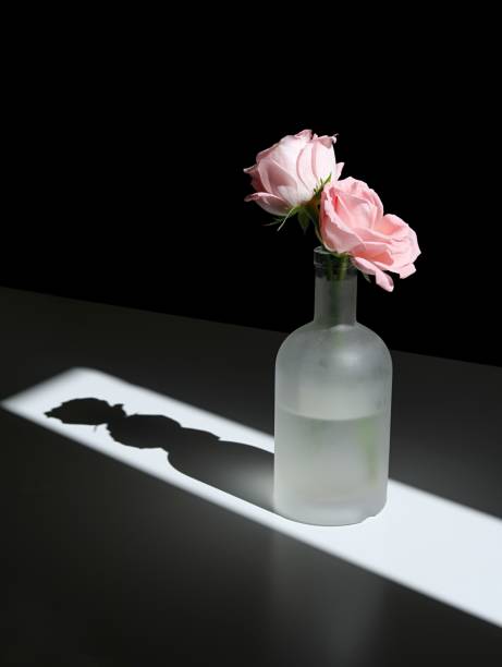 istock Matte glass vase with delicate pink roses on dark background 1530926919