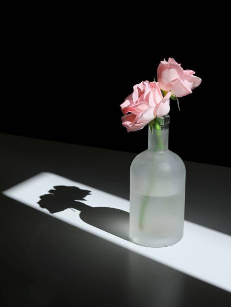 istock Matte glass vase with delicate pink roses on dark background 1530926924
