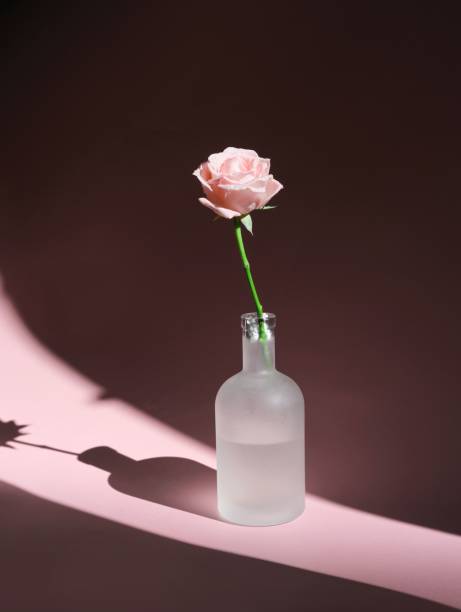 istock Matte glass vase with delicate pink roses on pink background 1530926943