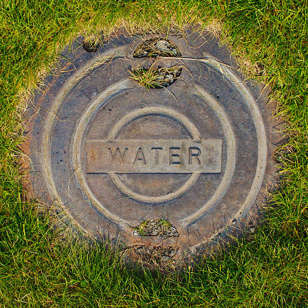 Agua tapadera de cloaca cubierta de hierba - foto de stock