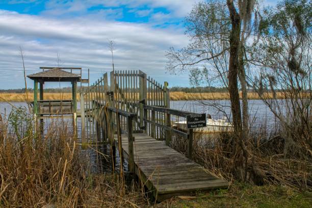 istock Wooden dock over a lake surrounded by trees under a blue cloudy sky 1530935412