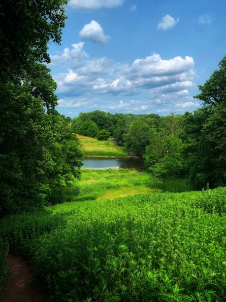 istock Idyllic scene featuring a lush, green open field adjacent to a tranquil river 1530943490