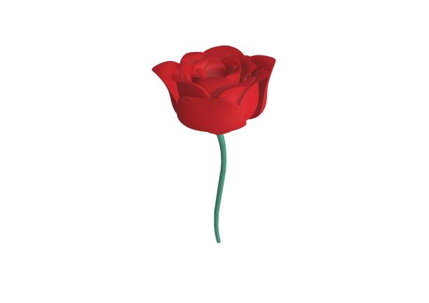 Bouquet red roses, Sant Jordi's day