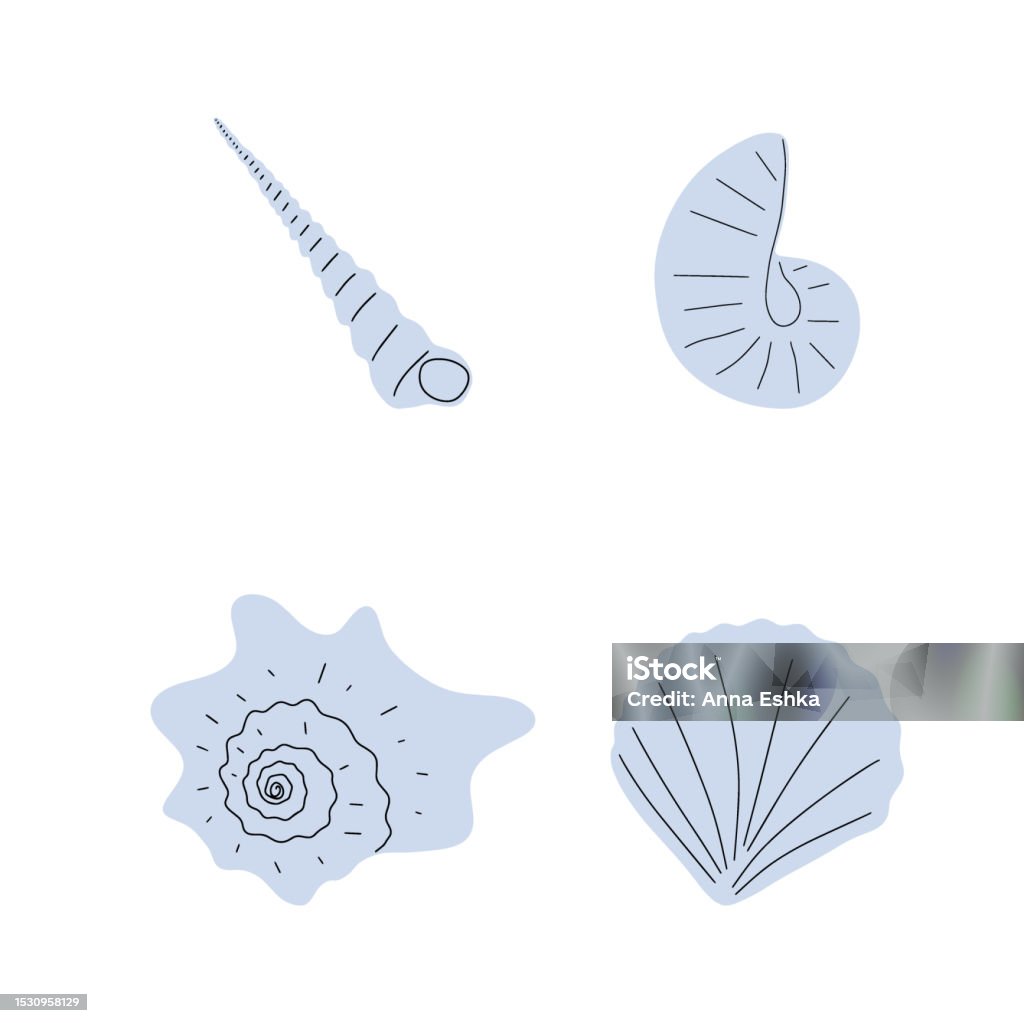 Abstract Shellfish Art Tropical Underwater Seashell Hand Drawn Sea Mollusk Shellfish Element ...