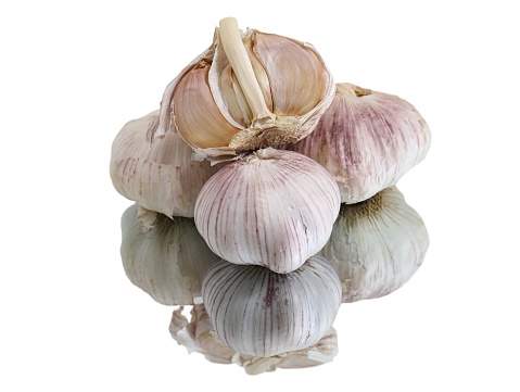 A bunch of fresh garlic bulbs with their papery skin still intact, ready for use in cooking