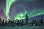 Northern lights aurora swirls above snowy trees