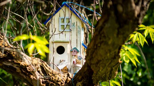 istock a birdhouse with fairy figurines is perched on a tree 1530973746