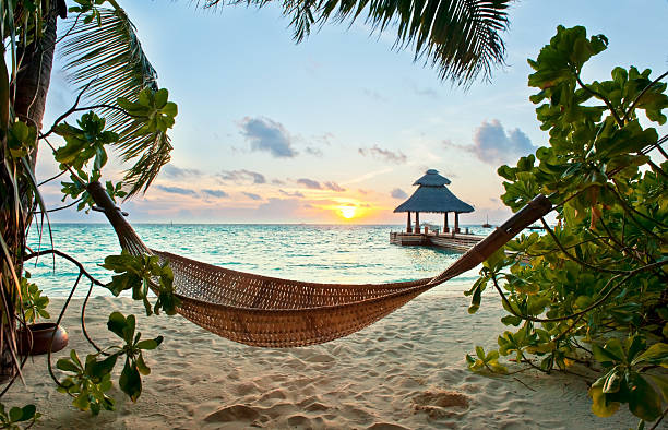 Hammock and sunset Empty hammock in the tropical beach in the Maldives at sunset coconut palm tree photos stock pictures, royalty-free photos & images