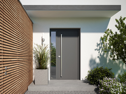 3d rendering of a modern entrance door with canopy and plants