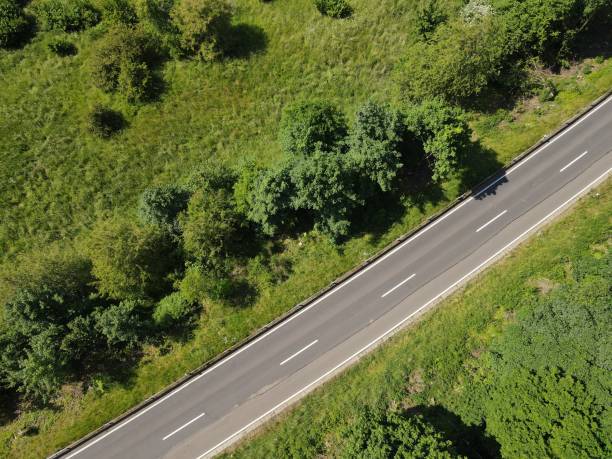 istock Asphalt road with white stripes between trees and grass in the landscape in summer 1530976159