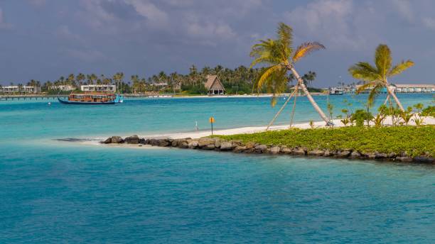 istock Tropical island featuring several palm trees on the sandy beach in the foreground 1530979352