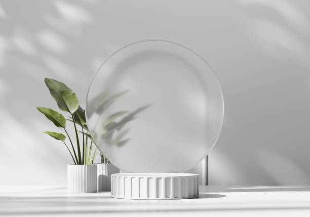istock 3D rendering platform podium with plant product presentation background 1530980467