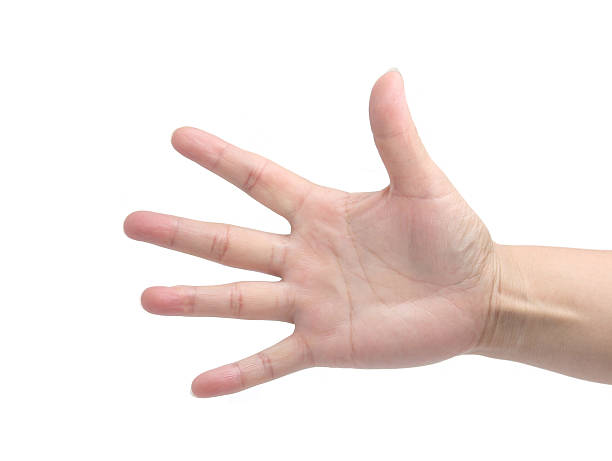 hand open number five stock photo