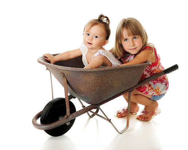 istock Barrow Full of Baby 153098654