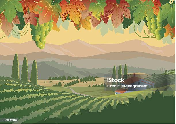 Vetores de Vinícolas Da Toscana e mais imagens de Vinhedo - Vinhedo, Toscana - Itália, Vector