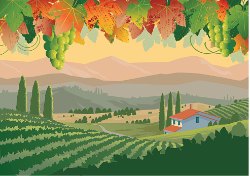 Illustration of colorful Tuscan vineyard landscape
