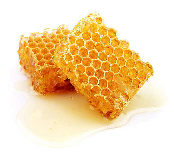 Honeycomb Honeycomb close up on the white honeycomb animal creation photos stock pictures, royalty-free photos & images