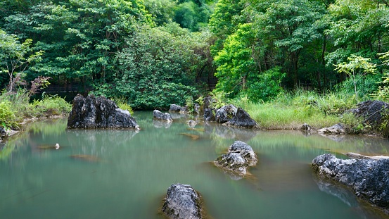 A tranquil body of water surrounded by a lush forest, with large rocks floating on the serene surface.