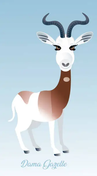 Vector illustration of Lady Gazelle (Nanger Dama)