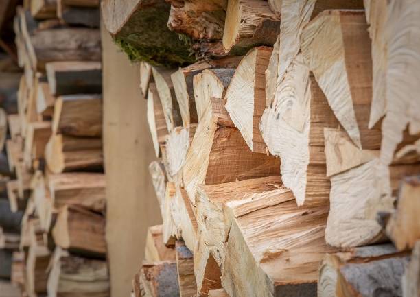 grande variedade de madeira cortada cuidadosamente armazenada em uma pilha. - material variation timber stacking - fotografias e filmes do acervo