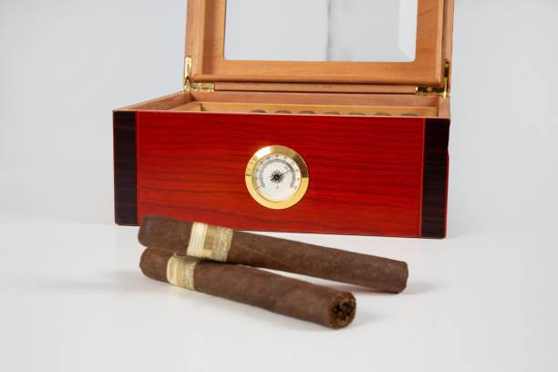 istock Two cigars and one cigar box isolated on a white backdrop. 1531015477