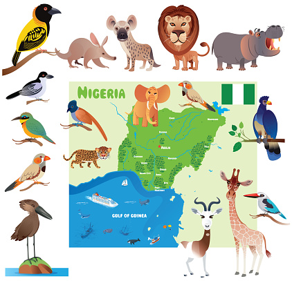 Vector Nigeria Map and Animals
https://maps.lib.utexas.edu/maps/africa/nigeria.gifCartoon Map of Nigeria