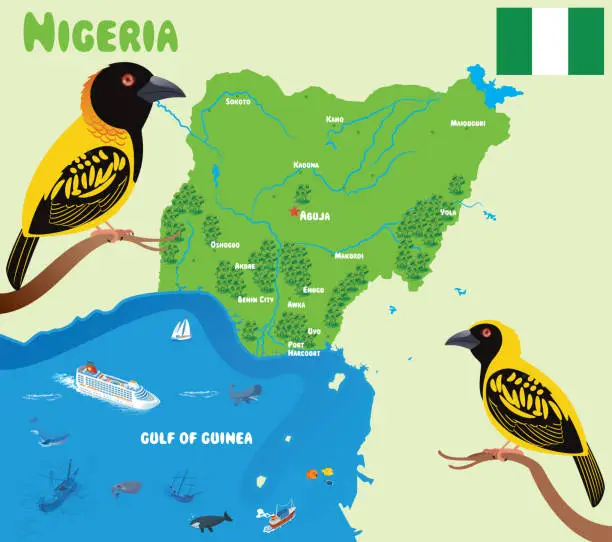 Vector illustration of Nigeria and Village Weaver Birds