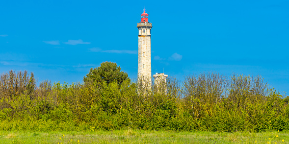 Water Tower above the trees