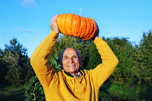 Portrait of happy smiling farmer standing on agriculture field at autumn season and holding ripe orange pumpkin over head