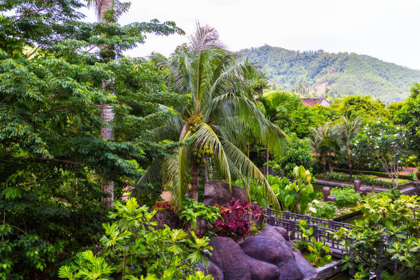 istock Tropical Scenery in SunWorld 1531034978
