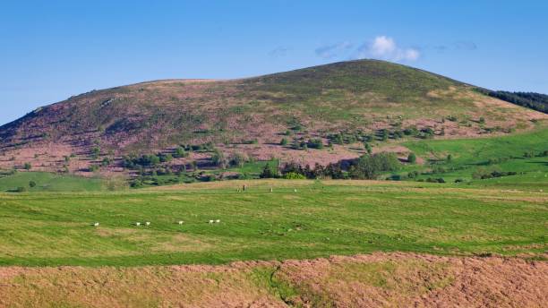 istock Mitchell's Fold Stone Circle and Corndon Hill, Powy,s in evening light 1531058845