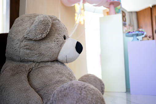Portrait of Child Girl Hugging Her Soft Toy Bear