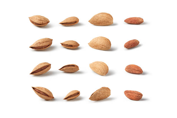 Almond nuts, shelled and hulled on white background in a rows. Healthy snack, organic food concept.