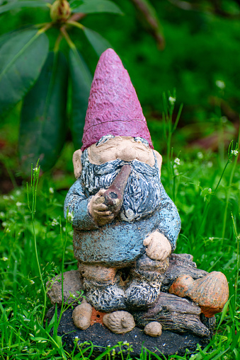 Garden Gnome close-up on a white background.